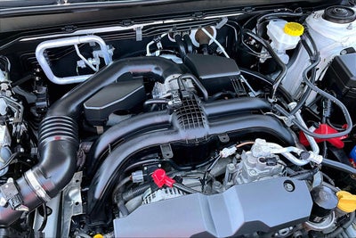 2019 Subaru Outback Premium